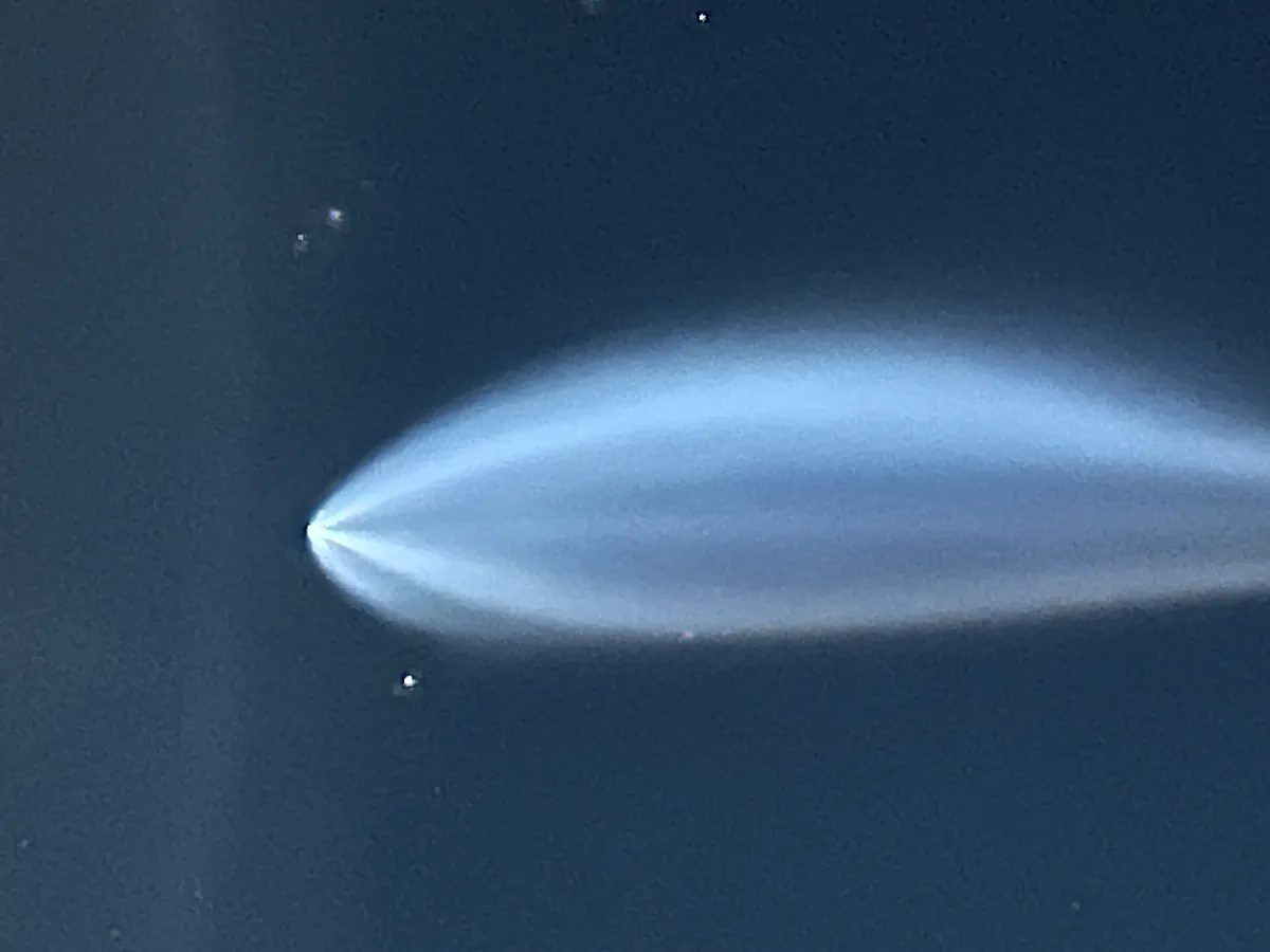 Rocket jellyfish photo: April 22, 2026