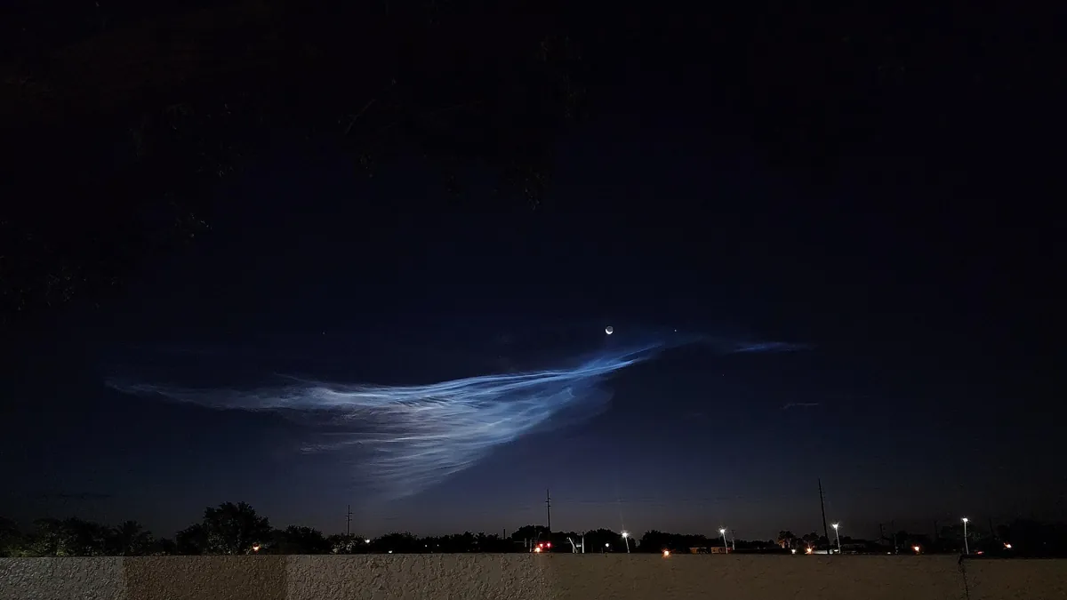 Rocket jellyfish photo: Space jellyfish
